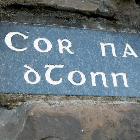 Ceol Na Mara Holiday Homes - Cois Tra & Cor Na Dtonn エニスクロン エクステリア 写真